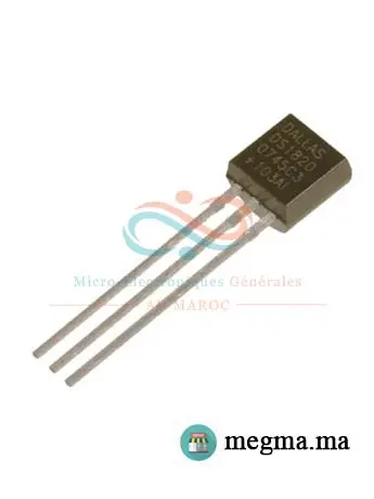 DS18B20 Circuit Intégré