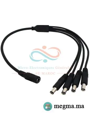 Rebower DC Alimentation Câble DC Alimentation Cordon Femelle