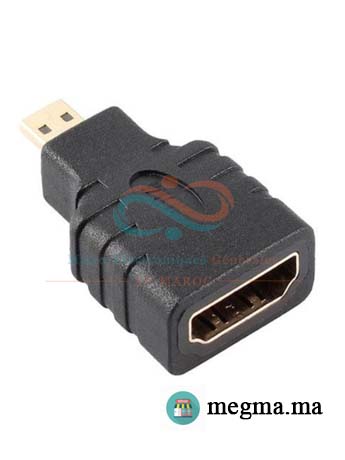Adaptateur Micro HDMI vers HDMI (Raspberry PI 4)