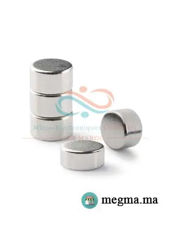 D30x5MM Aimant Puissant Néodyme rond