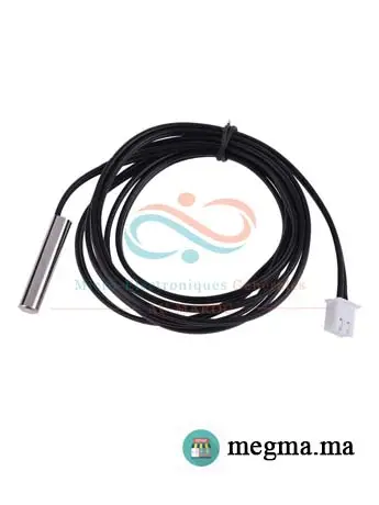 NTC 10K Thermistance avec sonde 1M