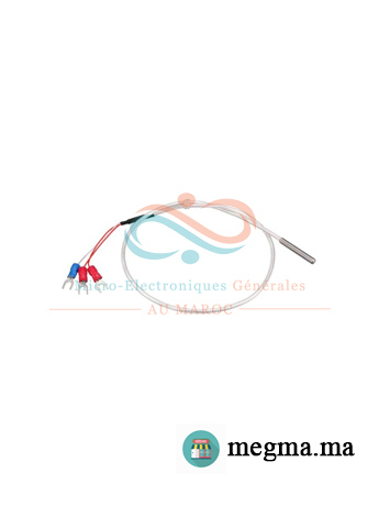 Sonde RTD PT100 WZP-035 1M