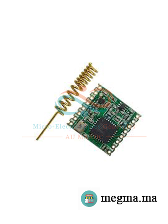Module LoRa RFM96 868MHz avec Antenne