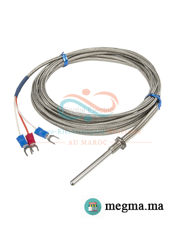 Sonde PT100 6mm 100mm 14'' – Câble 1.5m -50°C à 420°C